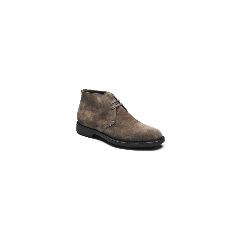 X111 Virtus Tortora X111 Virtus Tortora