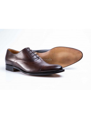2896 Gold Box Marrone