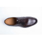 2637 Gold Box Marrone 2637 Gold Box Marrone
