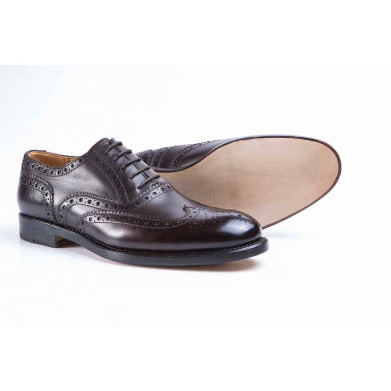 1378 Gold Box Marrone 1378 Gold Box Marrone