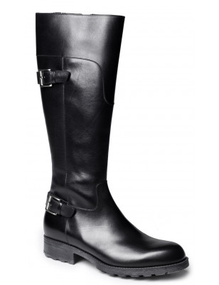 Brian Cress Donna (2)